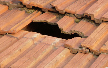 roof repair Nobs Crook, Hampshire